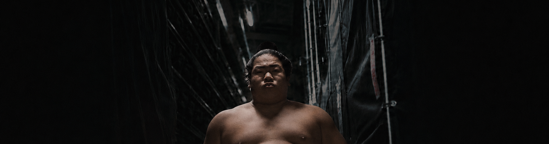 SUMO: Spirit Weighs Nothing