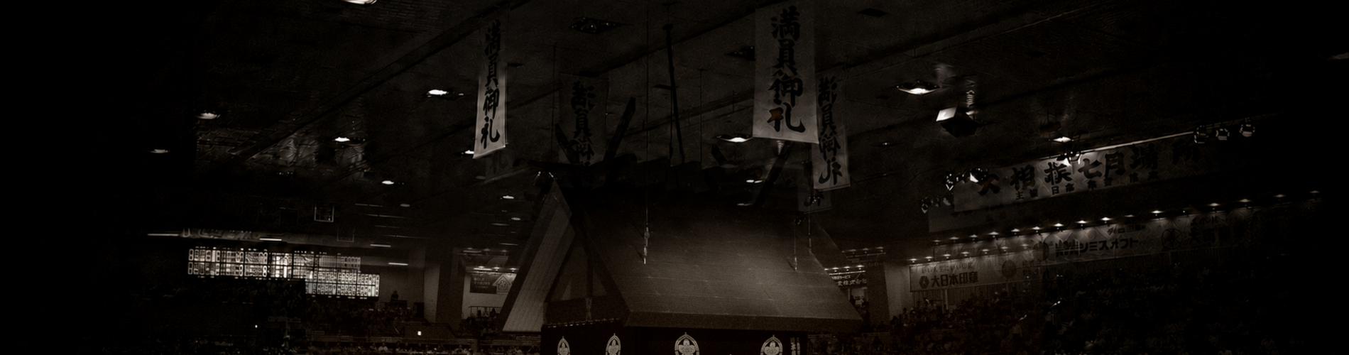 SUMO: Spirit Weighs Nothing