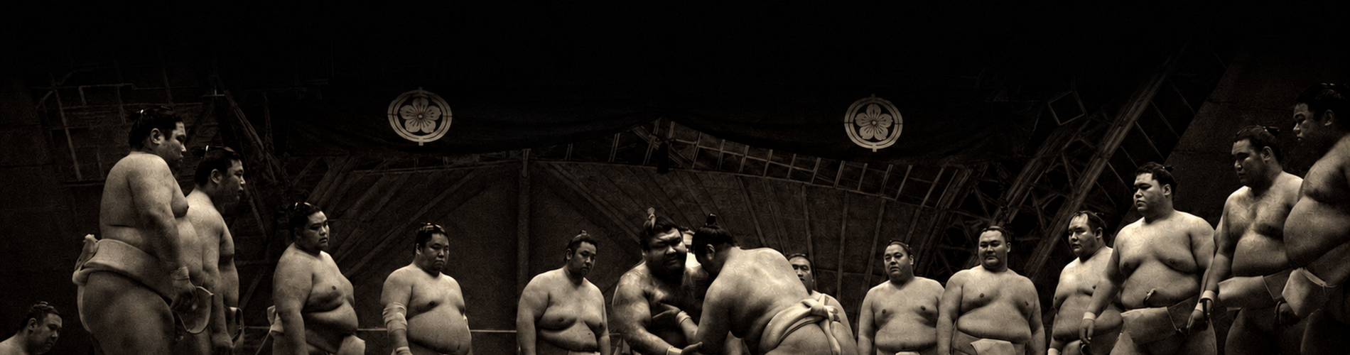 SUMO: Spirit Weighs Nothing
