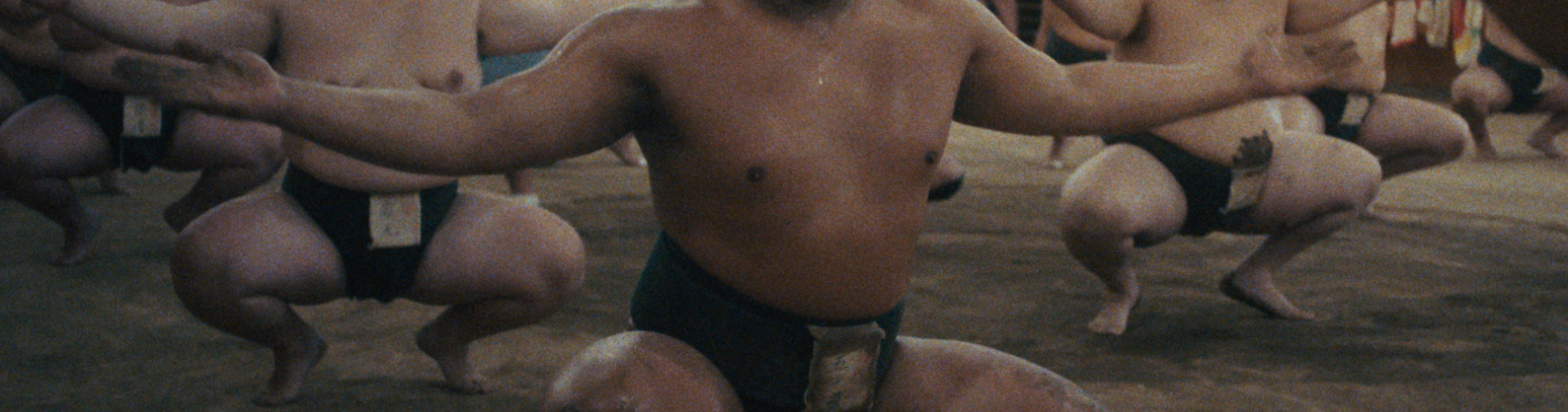 SUMO: Spirit Weighs Nothing