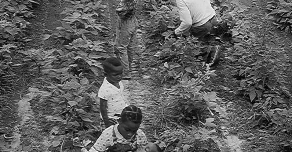Harvest of Shame