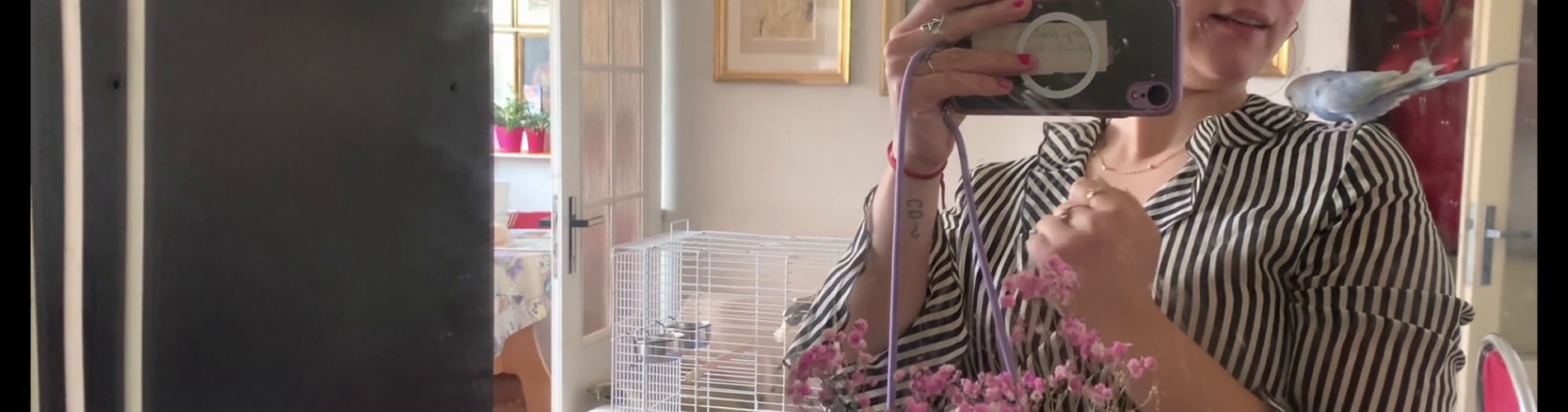 Birdie