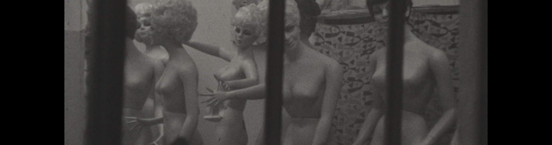 How Not to Make People, or A Report from a Factory Making Artificial Women