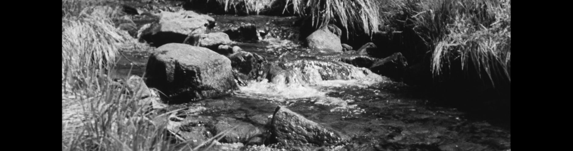 Dead Rivers