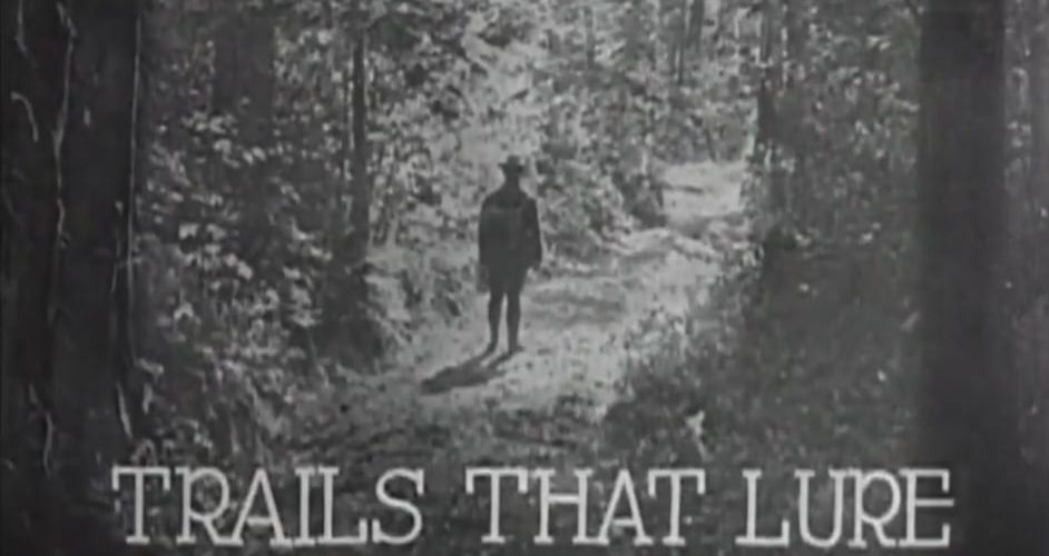 Trails That Lure (fragment)