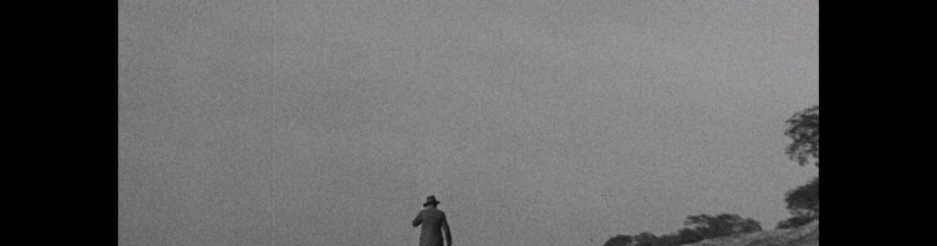 Aimless Walk
