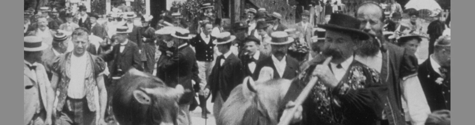 Návrat do stáje