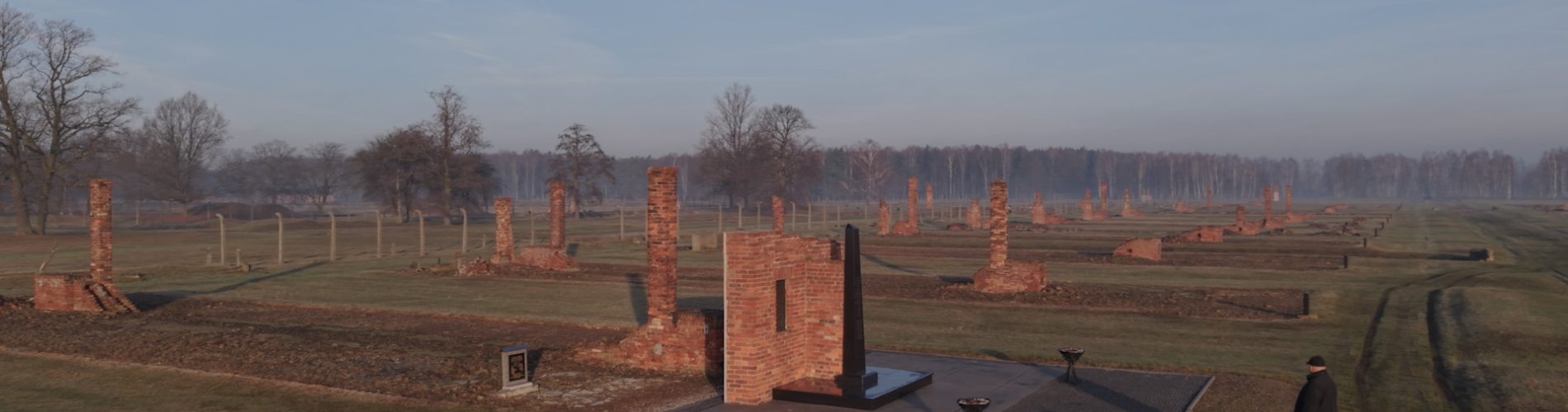 Roma Under State Pressure