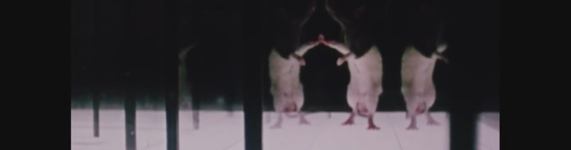 Thinking Through Film 1: How Meaning Emerges