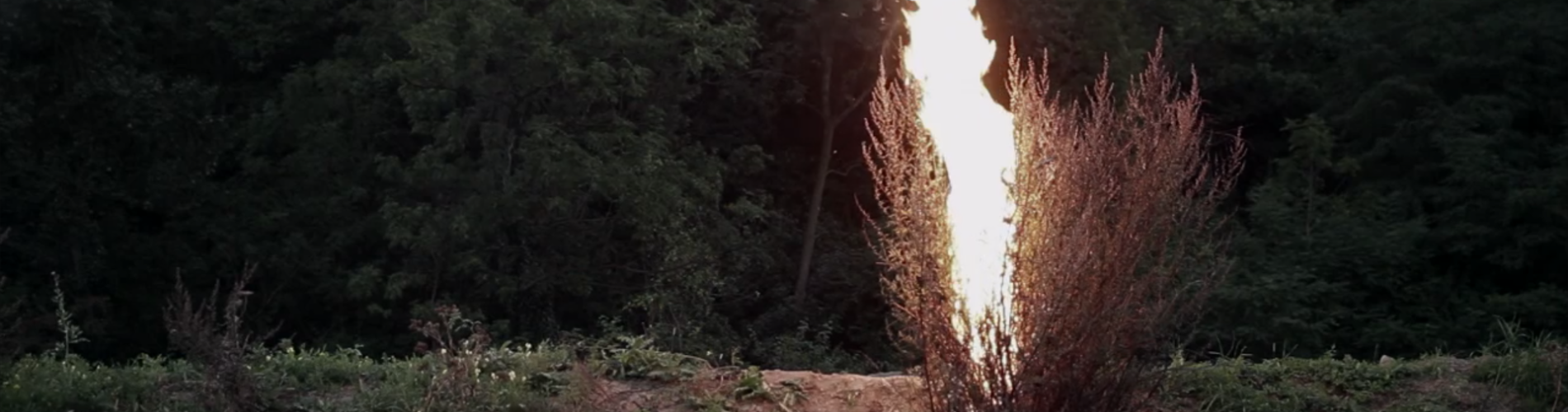 Thinking Through Film 5: Authorial Choices