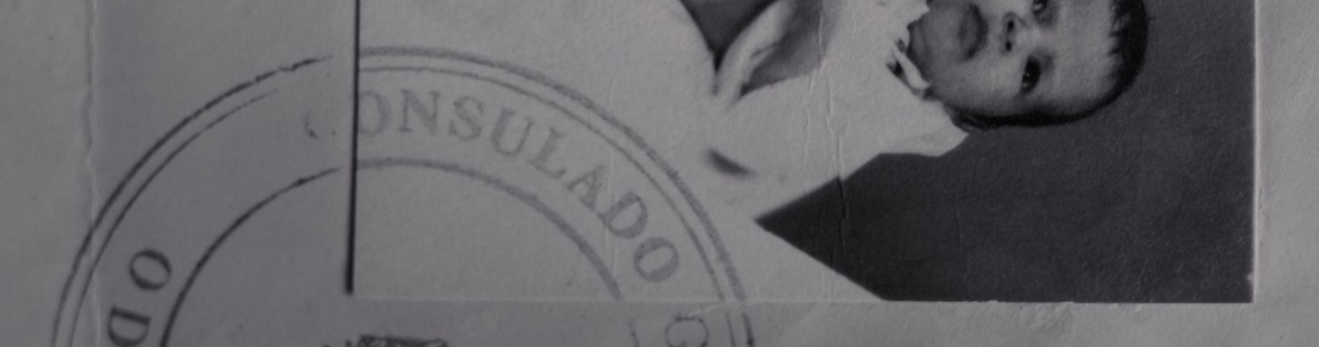 Identity and Transit Document No.4
