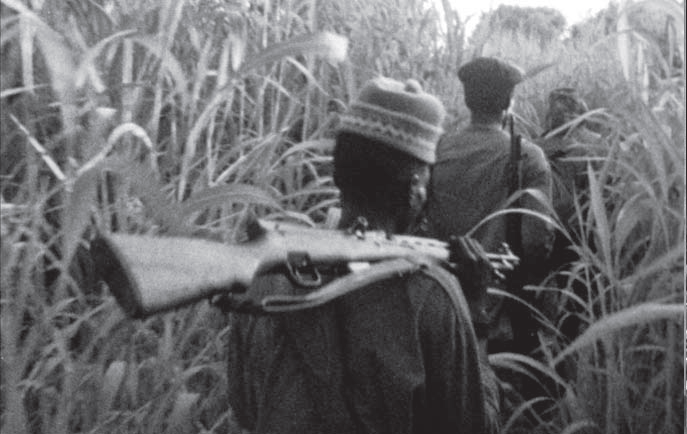 Concerning Violence