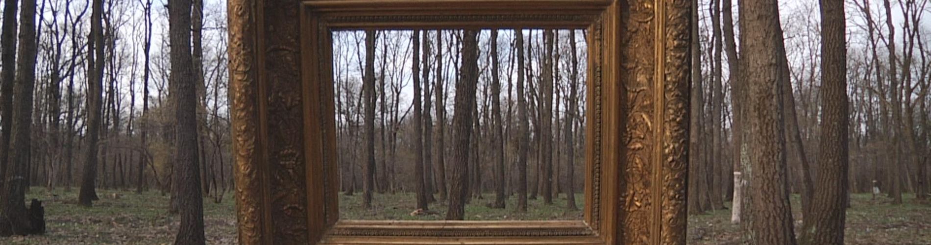 The Forest