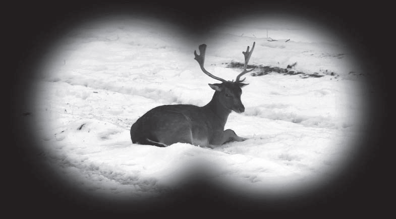 Long Live Hunting!