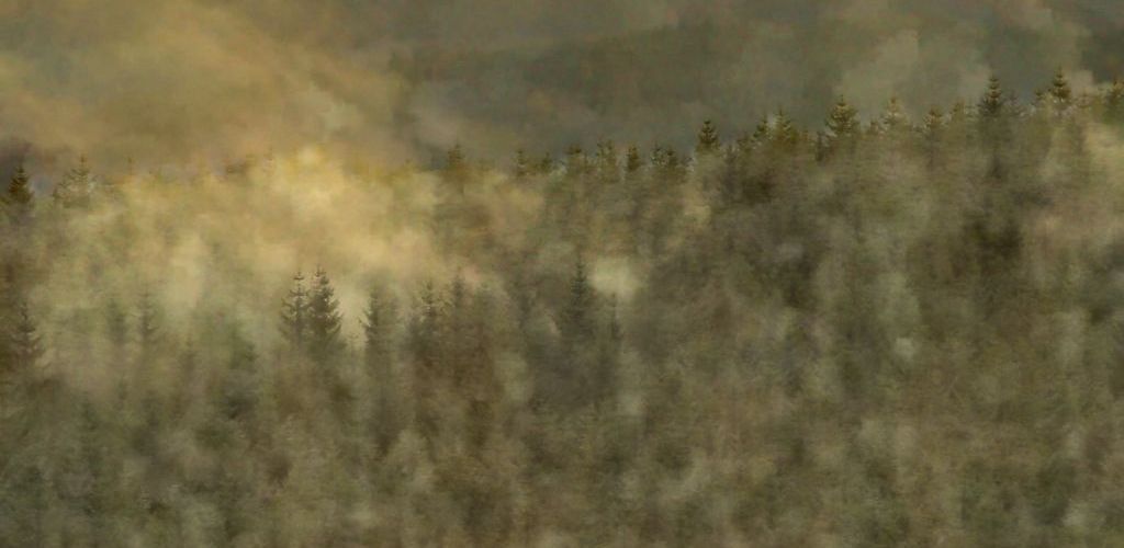 Ettrick