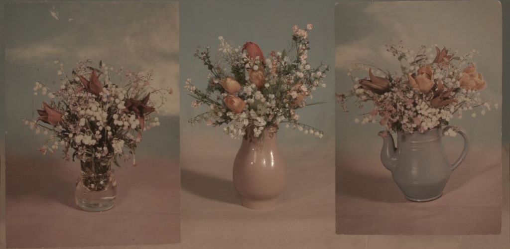 The Still Life of Vera