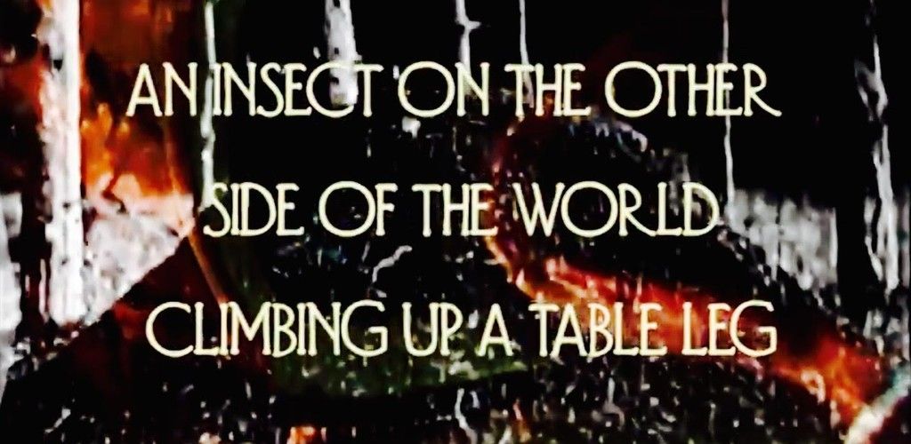 Adult Contemporary: Experimental Music Video 016