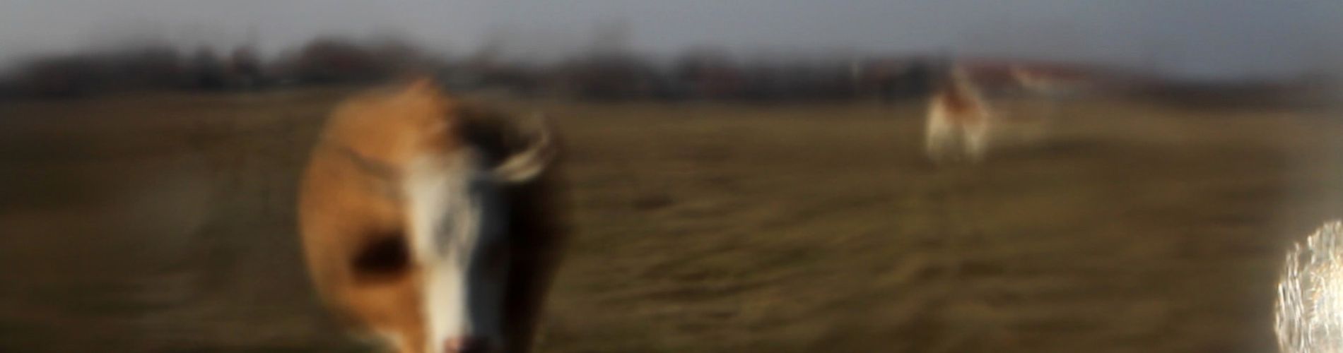Distance