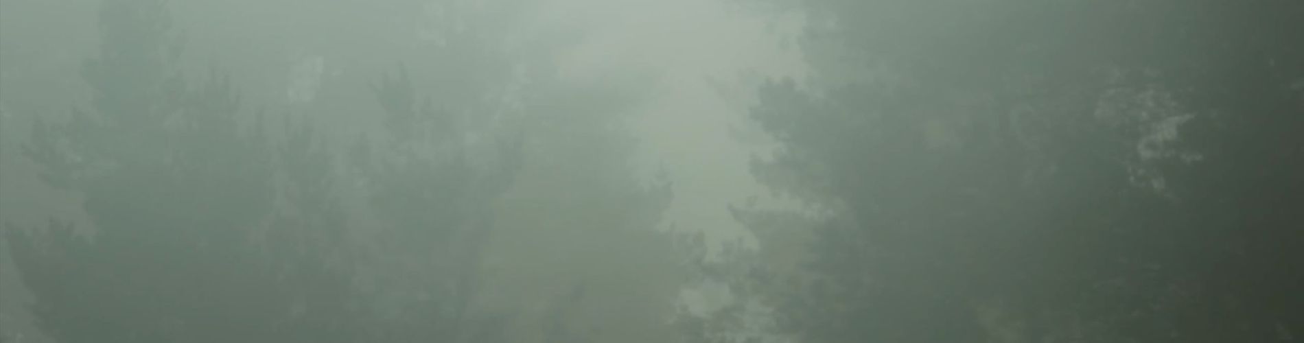 Some Clouds Float Distant