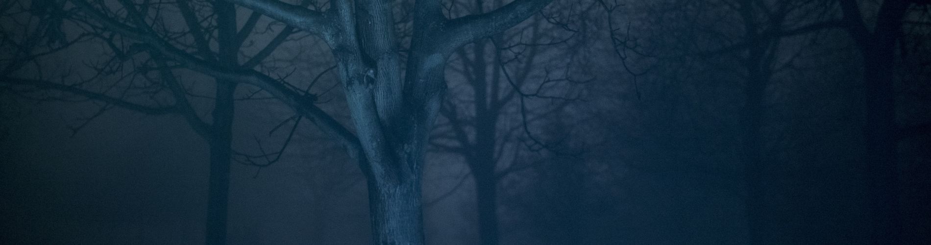 Dying for Beginners / The Key of Silence