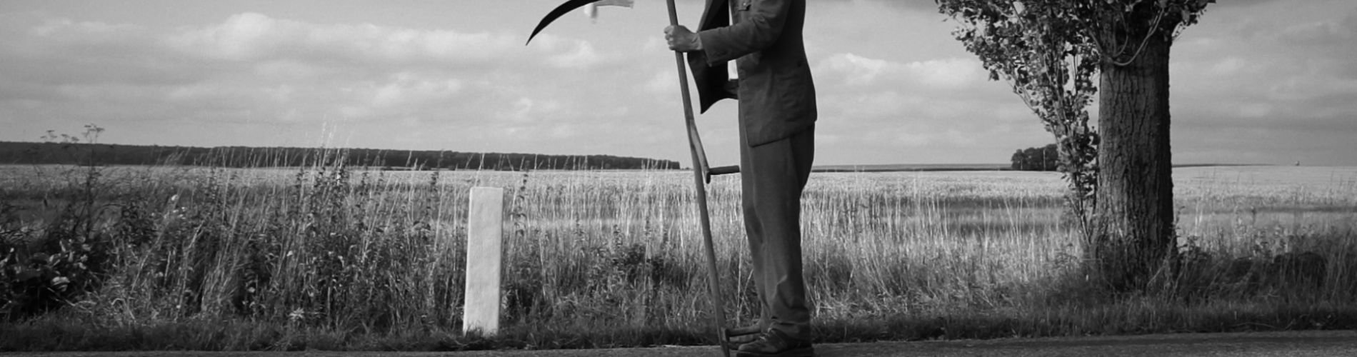 One Last Time in the Fields