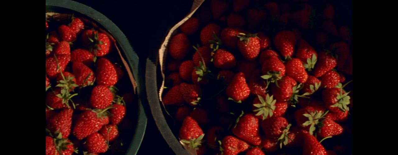 Enticing, Sugary, Boundless or Songs and Dances about Death