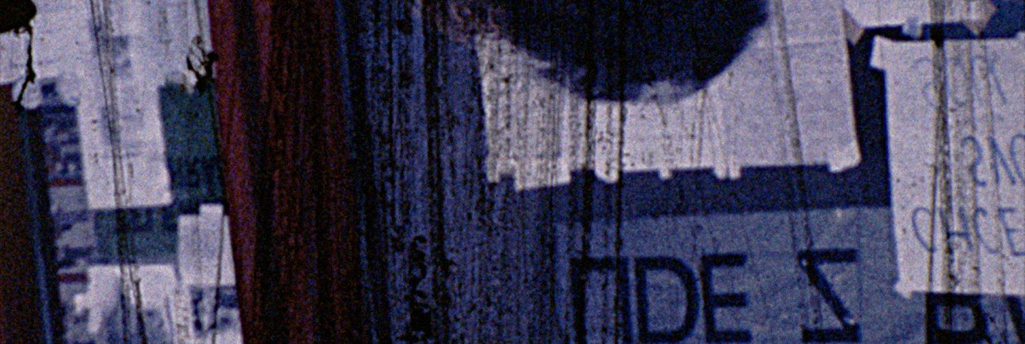 Film as an Art Object. The Films of Stanislav Hora, 1980–2016