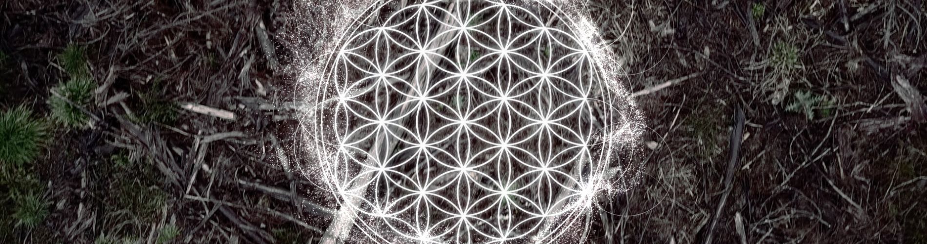 Extrastellar Evaluations III : Entropy : 25800