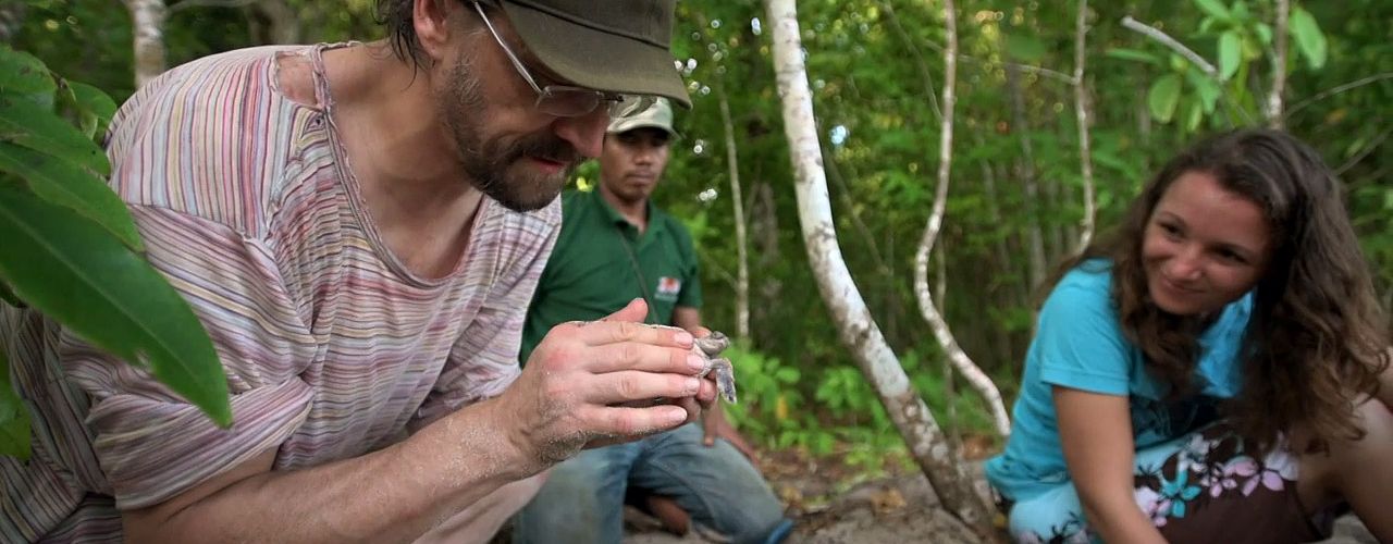 Czechs Save… Sea Turtles in Borneo