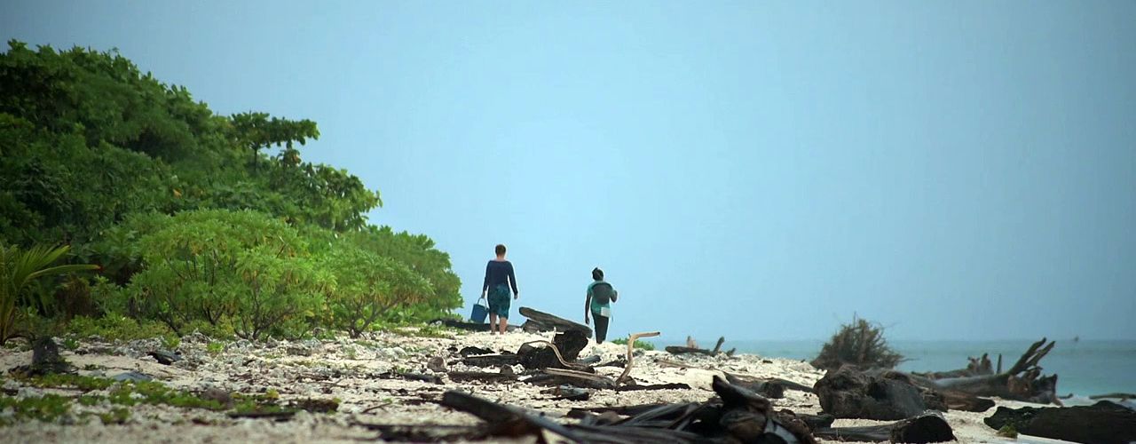 Czechs Save… Sea Turtles in Borneo