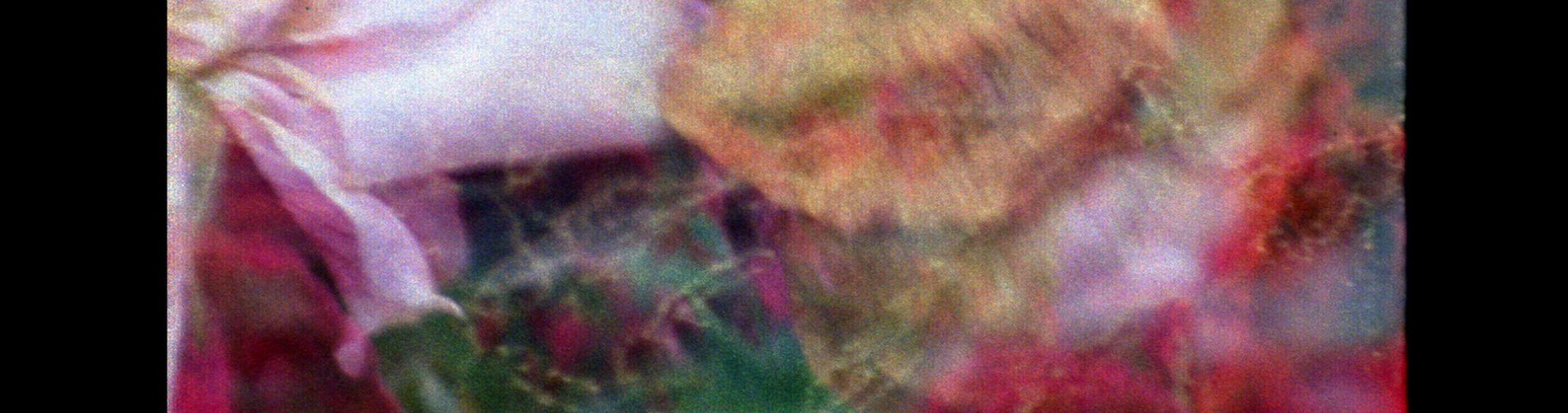 The Sun Quartet, part 1: Sun Stone