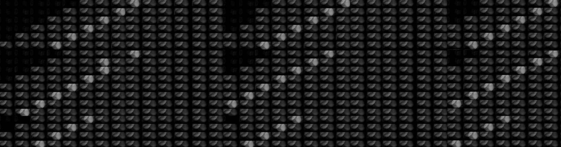 The Moons of Palaver