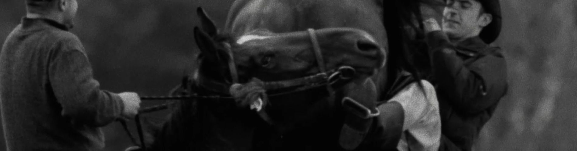 Horse Riders