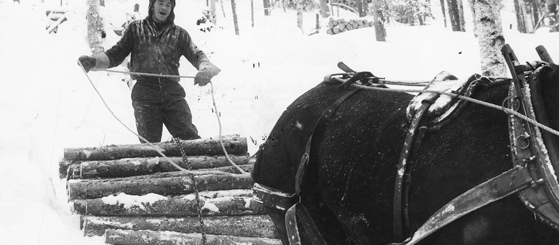 Manouane River Lumberjacks