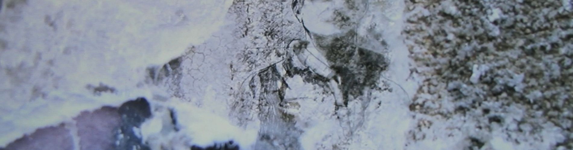 Erased, Ascent of the Invisible