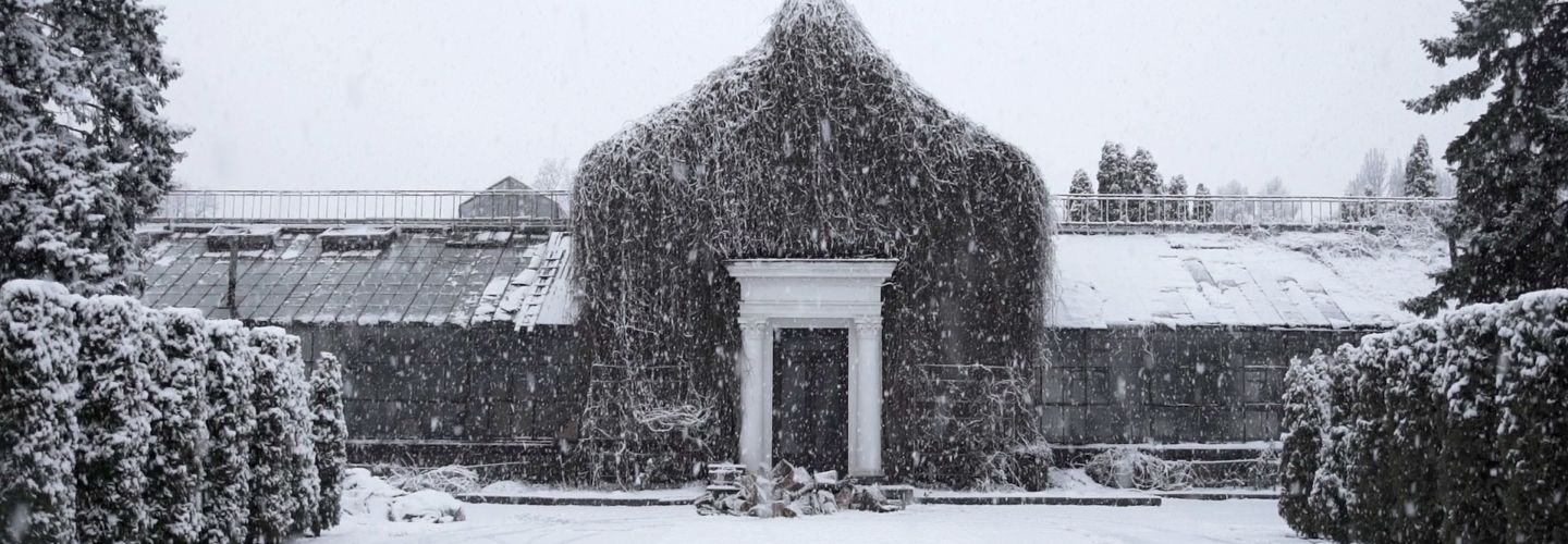 The Winter Garden's Tale