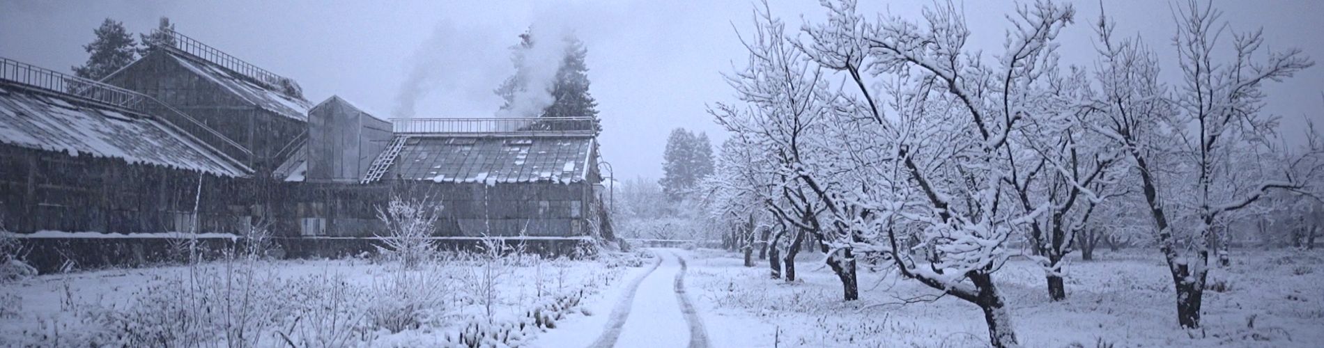 The Winter Garden's Tale