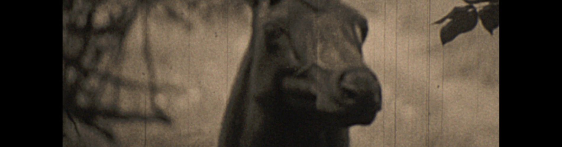 The Moor Demon