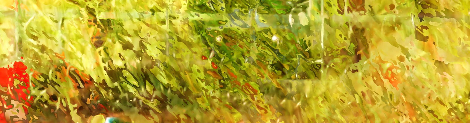 Field of Infinity