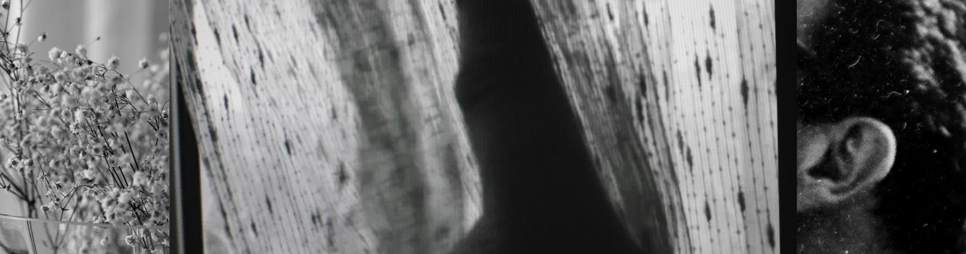 It all came to pass, All fell into my hands like a five-petalled leaf, But there has to be more