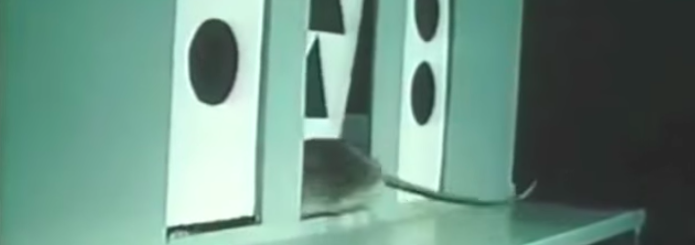 Can Animals Think?