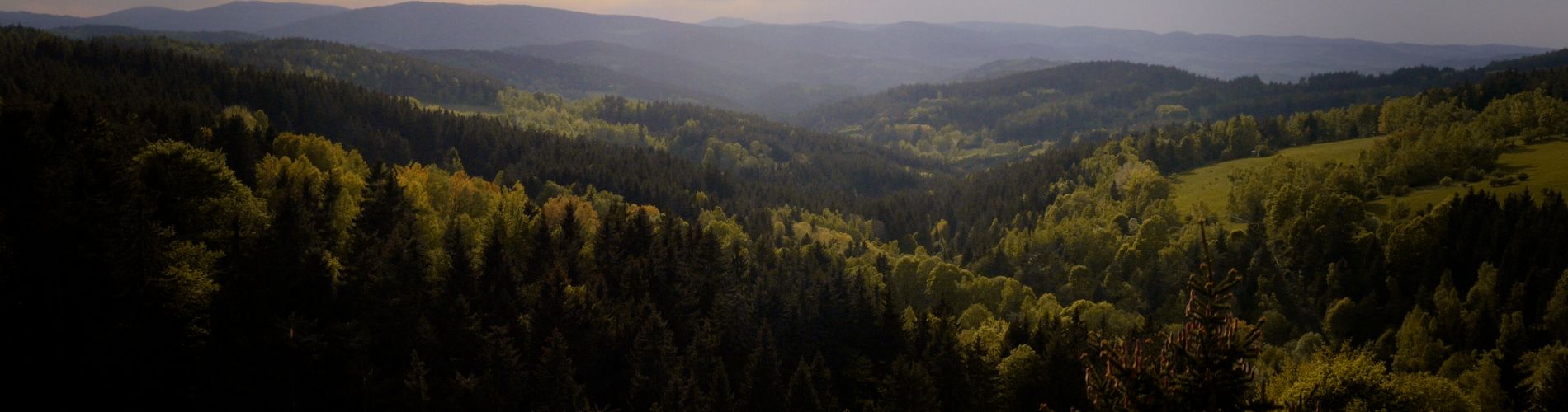 Kings of Šumava