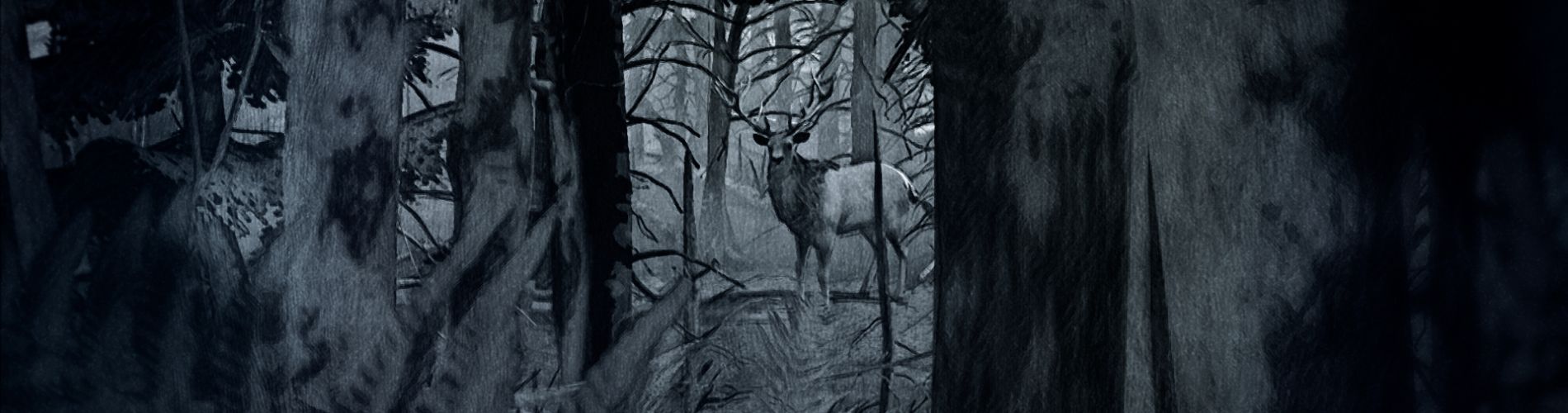Kings of Šumava