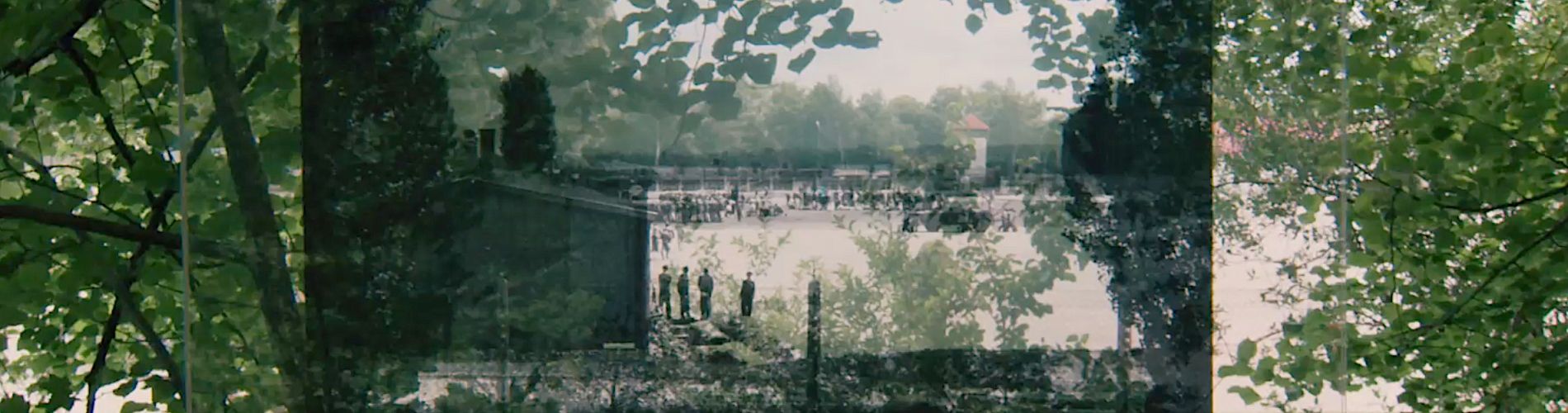 From Where They Stood