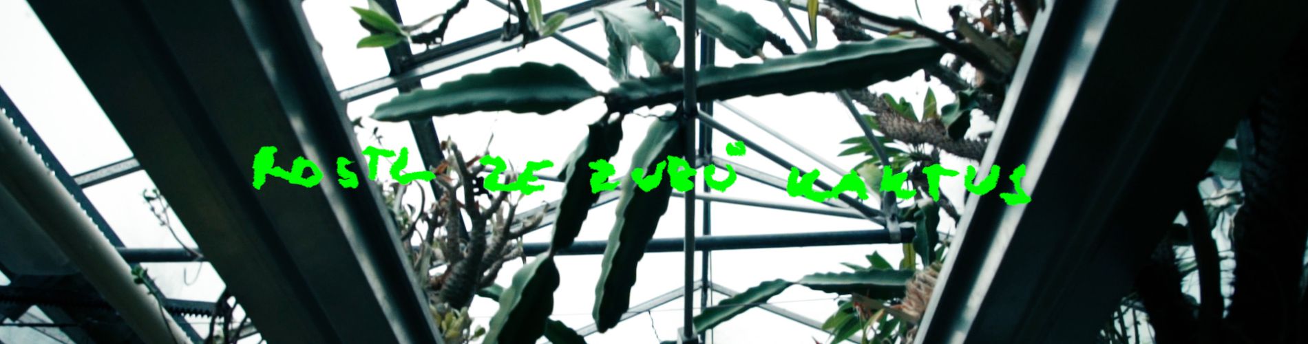 Botanical