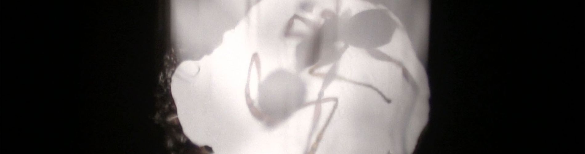 ANTFILM