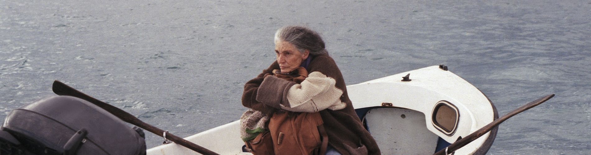 The Disappearance of My Mother