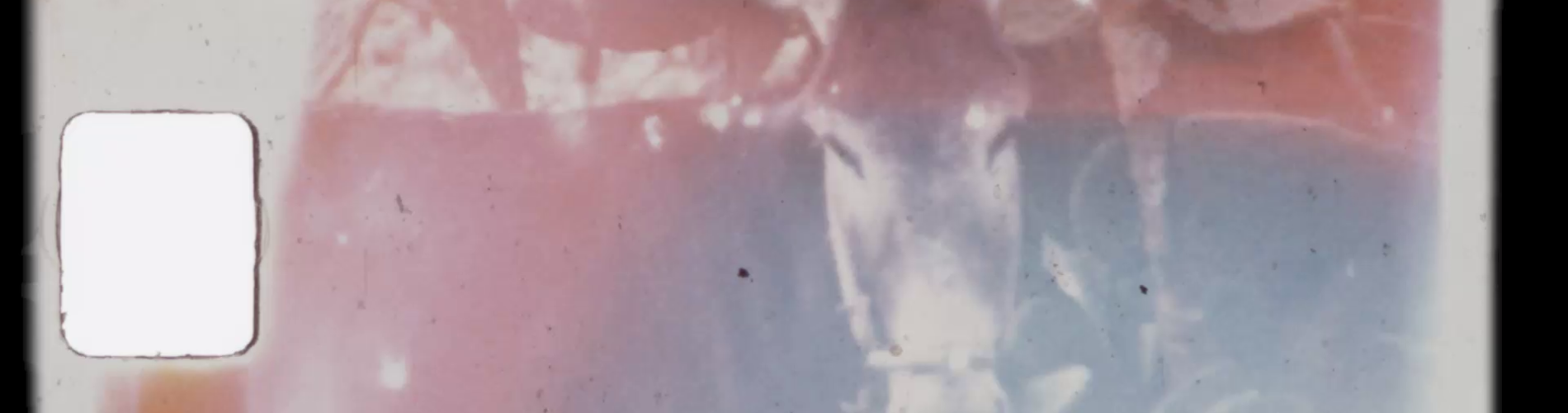 The Sun and the Looking Glass – for one easily forgets but the tree remembers