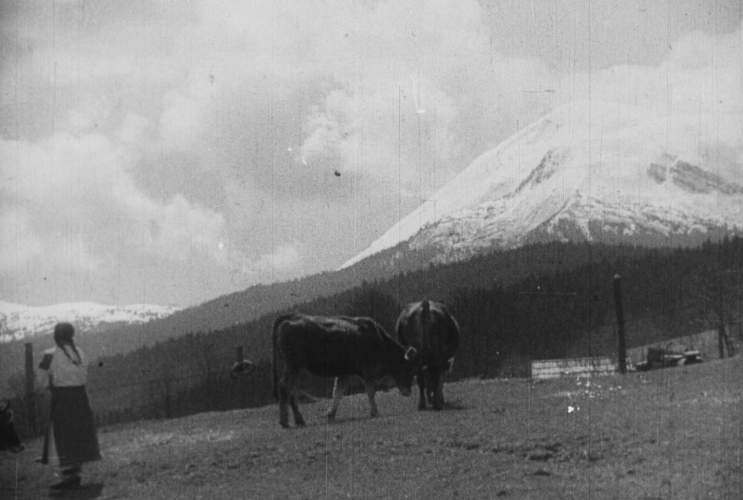 Spring in Carpathian Ruthenia