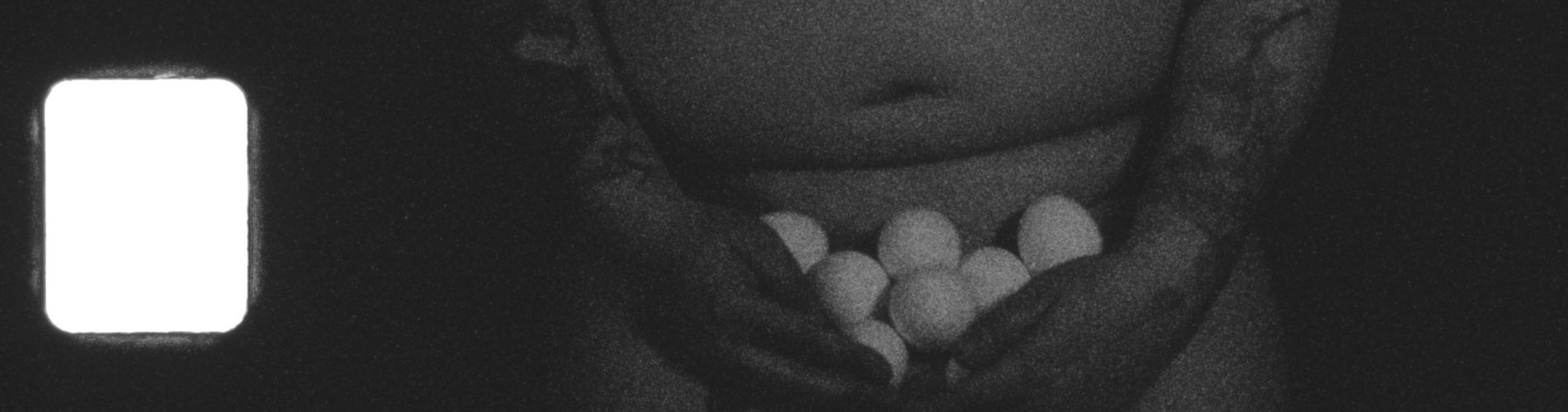 13 Eggs